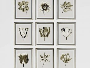 conjunto de fotos de flores Modelo 3D