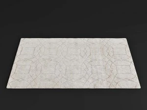 carpet 3D Model