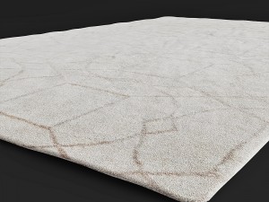 carpet Modello 3D