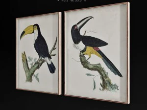 jonathan adler barraband toucans 3D Model