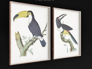 jonathan adler barraband toucans 3Dモデル