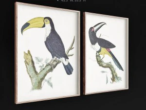 jonathan adler barraband toucans 3D Model
