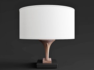 cristopher guy cascade Modelo 3D