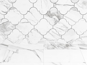 provenzale mosaic 3D 모델