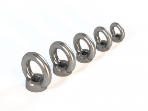 ring nuts din582 3D Model