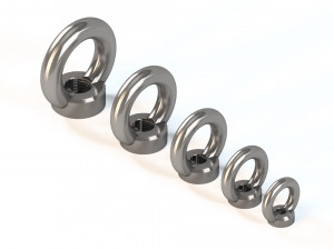 ring nuts din582 Modelo 3D