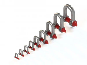 d-shackles 3D Model