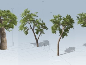 Tree Modeling in SpeedTree 3D Model