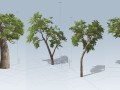 Tree Modeling in SpeedTree 3D Model