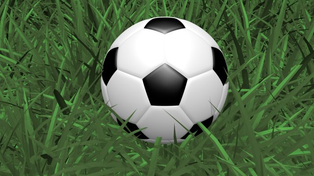 the soccer ball 3D Model .c4d .max .obj .3ds .fbx .stl .blend 