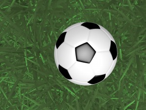 the soccer ball 3D Model