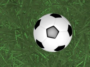 the soccer ball 3D Model