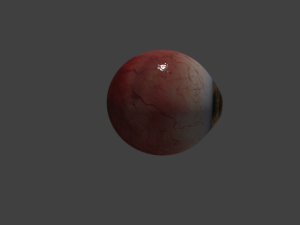 eye brown 3D Model