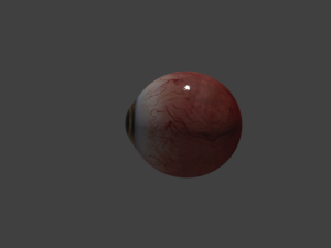 eye brown 3D Model