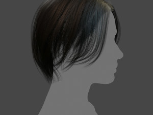 real-time low poly hair 3D Model