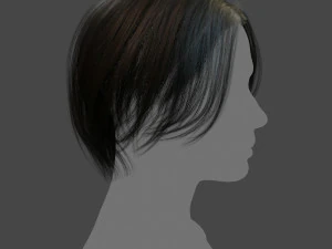 real-time low poly hair 3D Model