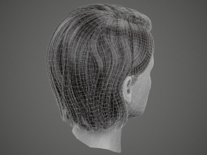 low poly realistic realtime hair 3D Model
