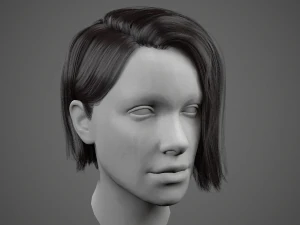 low poly realistic realtime hair 3D Model