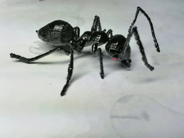 ant 3D Print Model .c4d .max .obj .3ds .fbx .stl .blend 