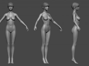 beautiful female basemesh 3D Модель