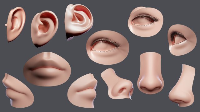 facial element 3D मॉडल .c4d .max .obj .3ds .fbx .stl .blend 