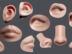 facial element 3D Модель