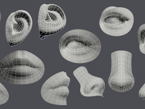 facial element 3D मॉडल