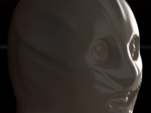 collector 3d print model 3D Print Model