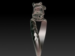 original ring 3Dプリントモデル