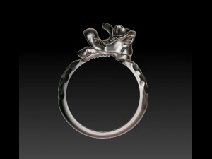 original ring 3Dプリントモデル