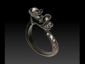 original ring 3Dプリントモデル