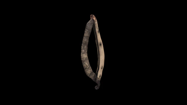 greek razor texture and model 3D Model .c4d .max .obj .3ds .fbx .stl .blend 