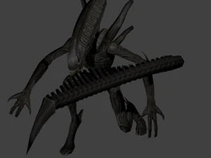 xenomorph from the game aliens vs predators 3D Model