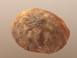 tasty bread 02 3D 모델