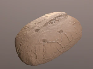 tasty bread 04 3D Model