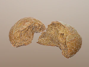 tasty bread 05 3D Model