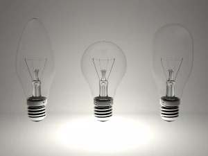 bulbs 3D Model