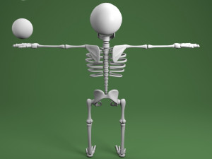 cartoon skeleton Model 3D