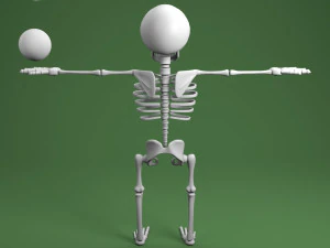cartoon skeleton 3D Model