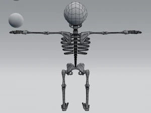 cartoon skeleton 3D Model