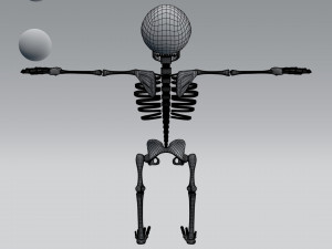 cartoon skeleton Model 3D