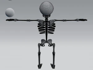 cartoon skeleton 3D Model