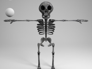 cartoon skeleton Model 3D