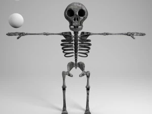 cartoon skeleton 3D Model