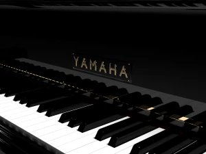 grandpiano 3D Model