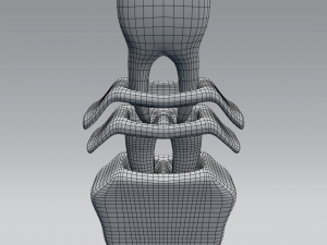 tooth anatomy 3D Модель