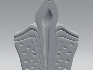 tooth anatomy Model 3D