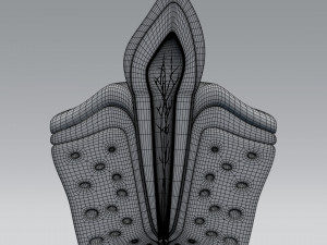 tooth anatomy Model 3D