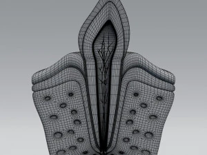 tooth anatomy 3D Model
