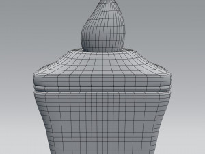 tooth anatomy Model 3D